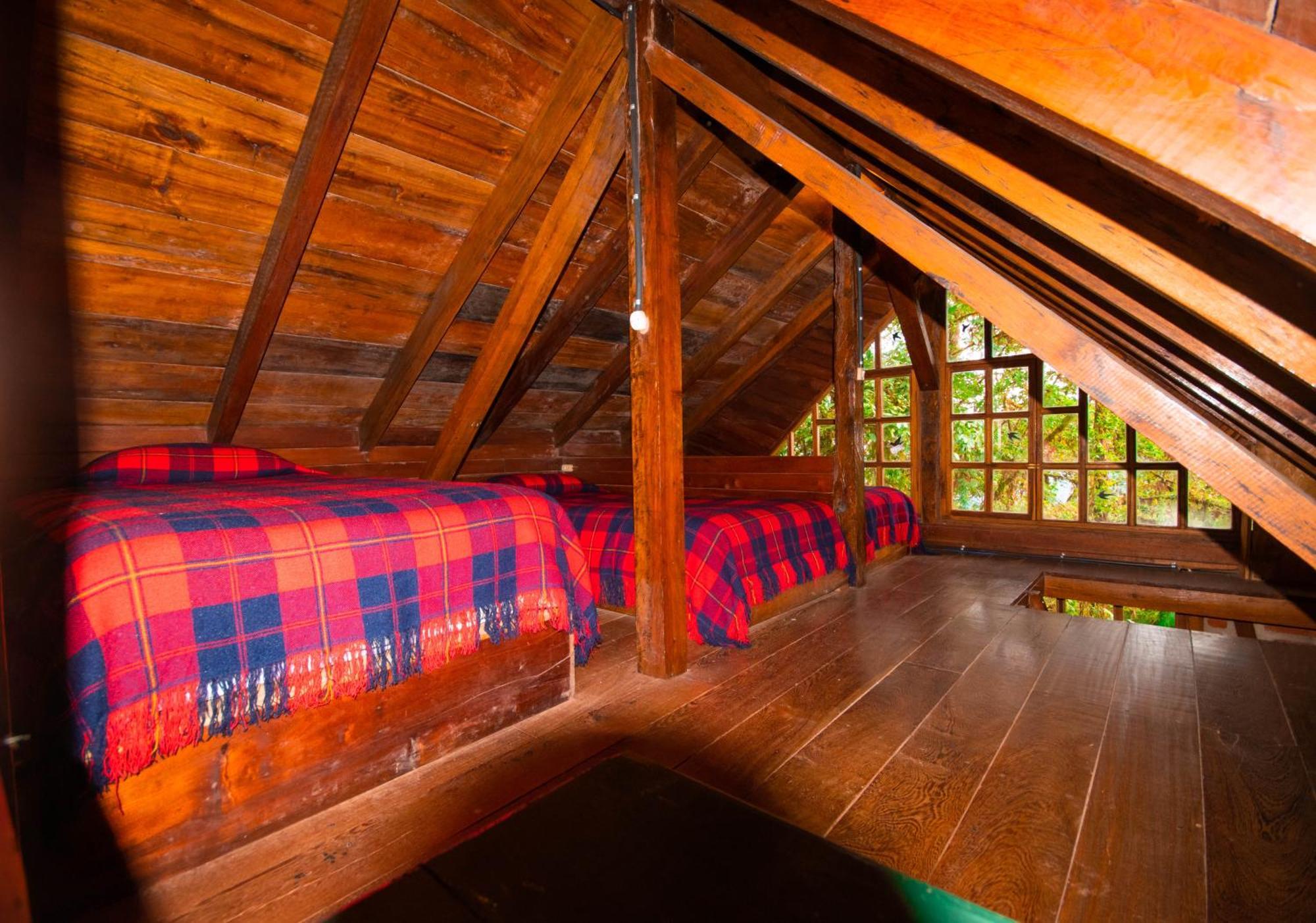 Bellavista Cloud Forest Lodge & Private Protected Area Тандайяпа Экстерьер фото