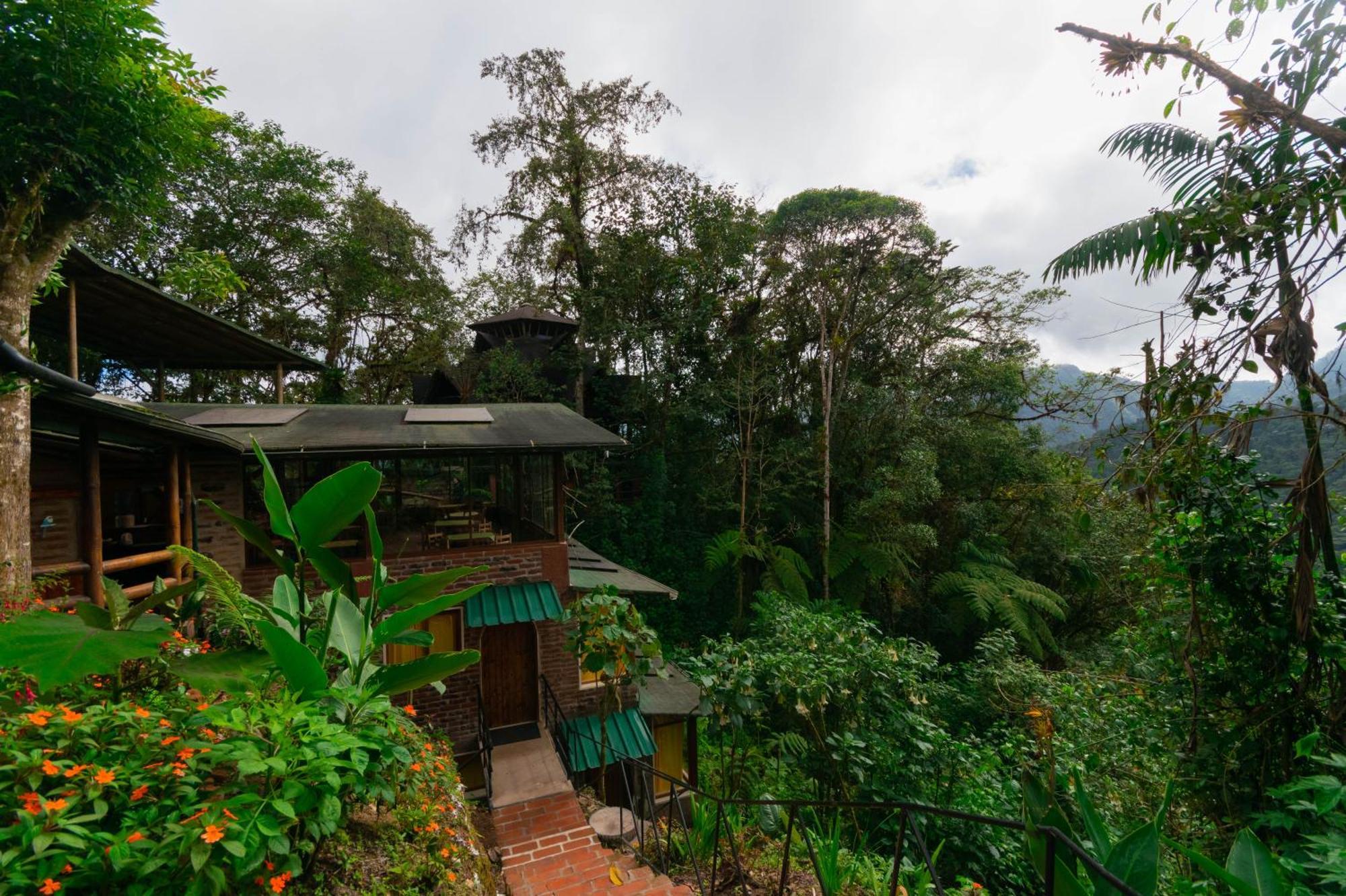 Bellavista Cloud Forest Lodge & Private Protected Area Тандайяпа Экстерьер фото