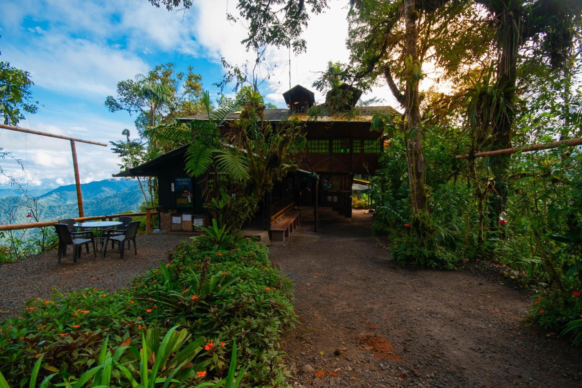 Bellavista Cloud Forest Lodge & Private Protected Area Тандайяпа Экстерьер фото