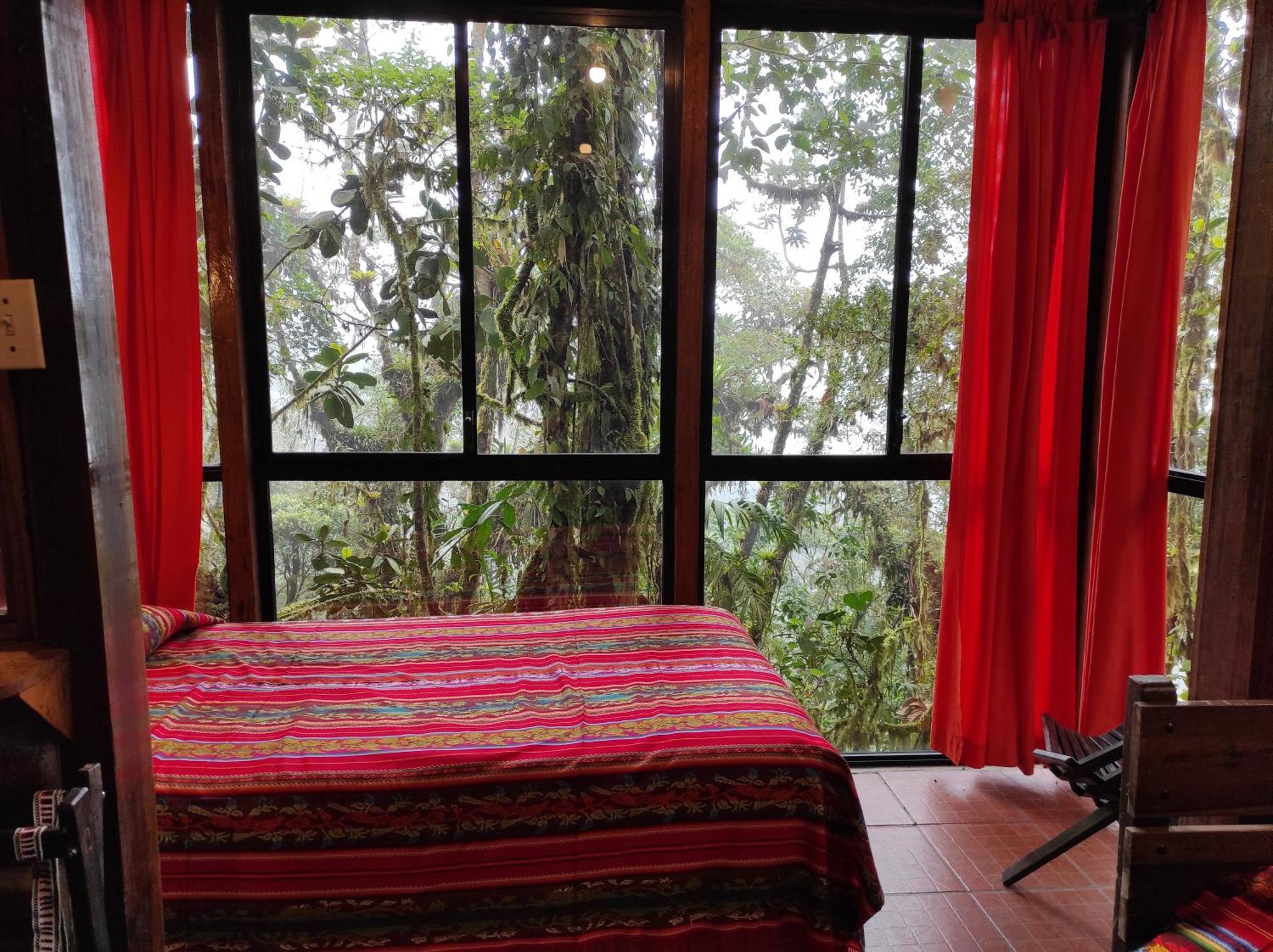 Bellavista Cloud Forest Lodge & Private Protected Area Тандайяпа Экстерьер фото
